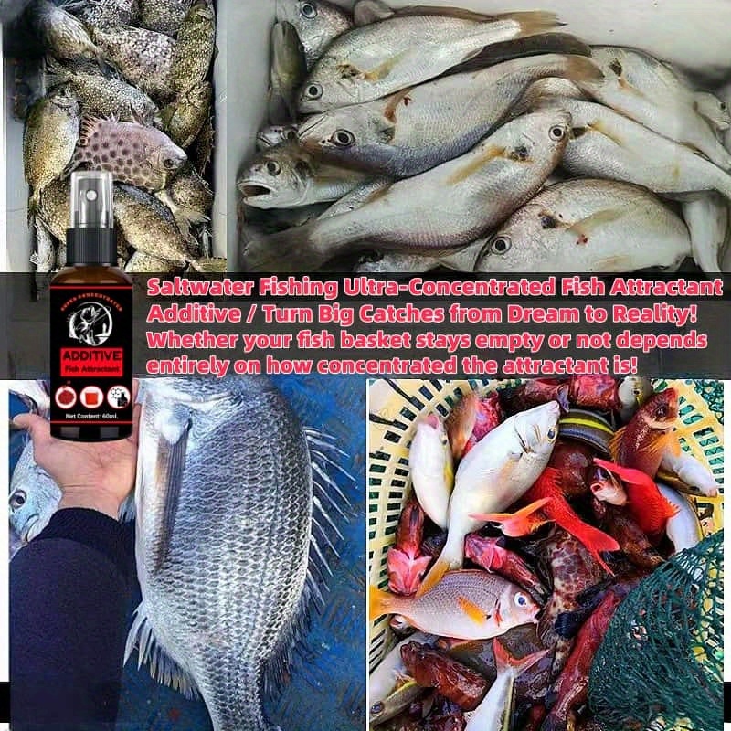 1pcs Super Concentrated Fish A - đánh giá và giá Fishing Equipment Clearance